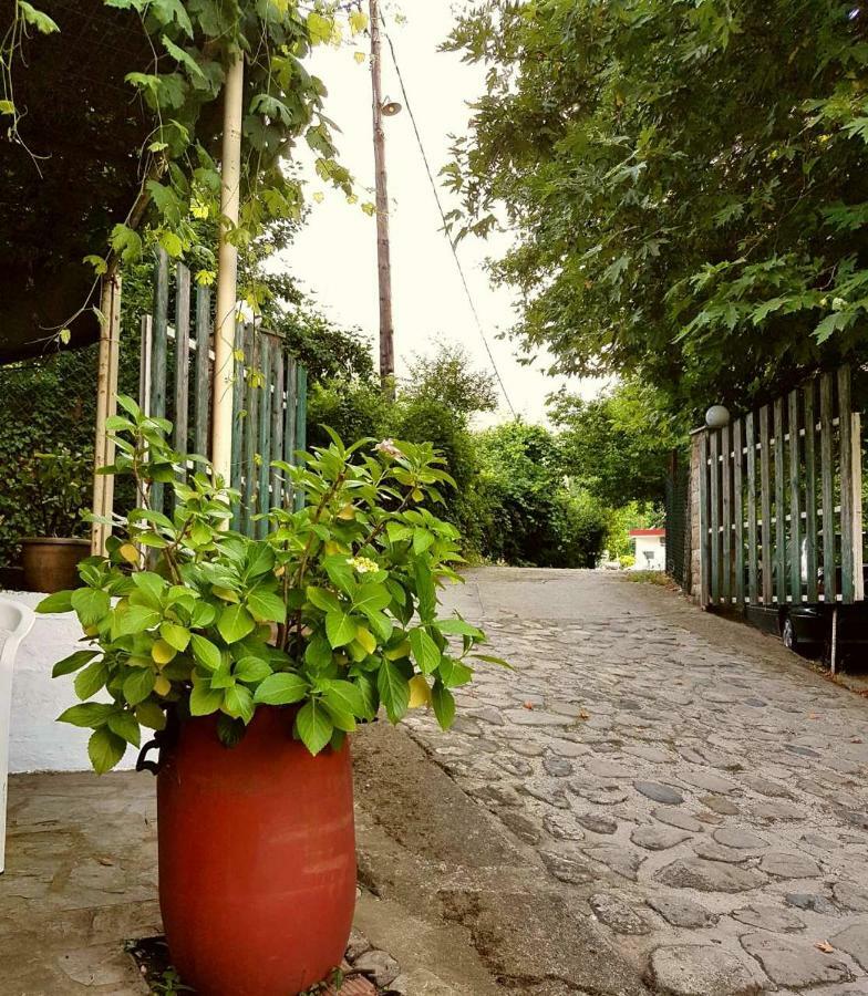 Stergiou Rooms Θέρμα Εξωτερικό φωτογραφία